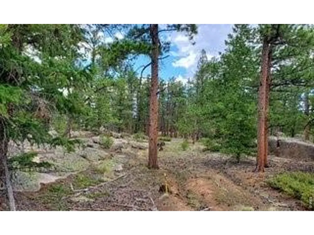 3031 Lake Arapahoe Court Red Feather Lakes, CO 80545