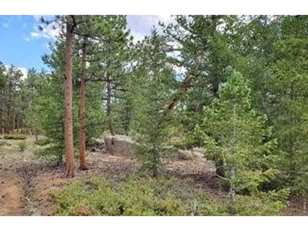 3031 Lake Arapahoe Court Red Feather Lakes, CO 80545