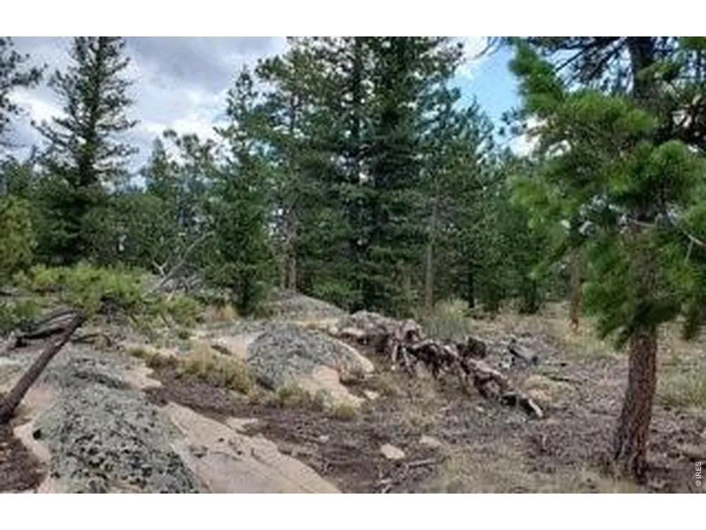 3031 Lake Arapahoe Court Red Feather Lakes, CO 80545