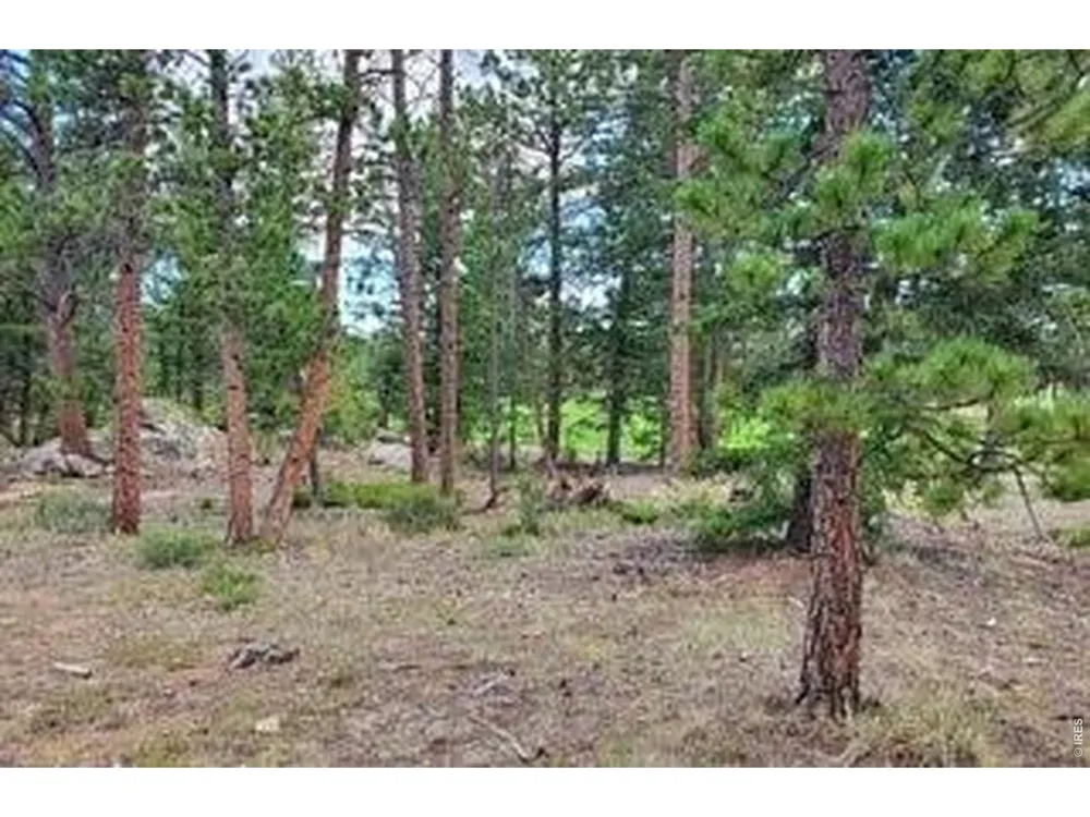 3031 Lake Arapahoe Court Red Feather Lakes, CO 80545