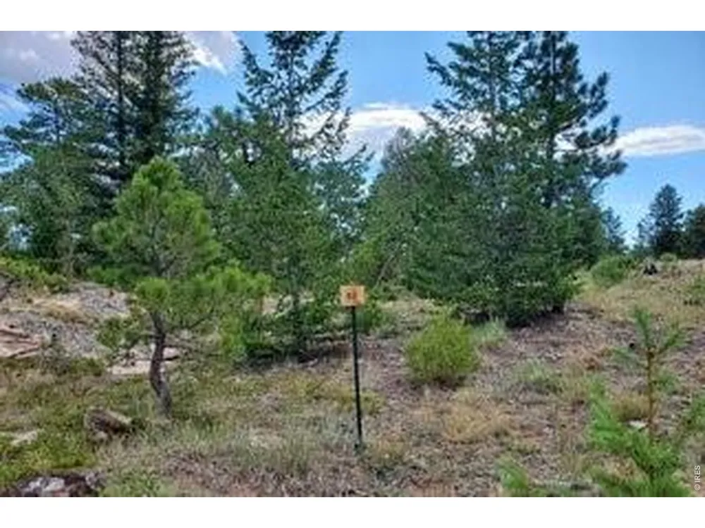 3031 Lake Arapahoe Court Red Feather Lakes, CO 80545