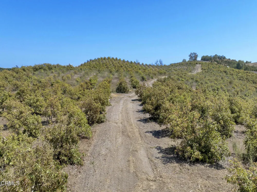 7905 Balcom Canyon Road Somis, CA 93066