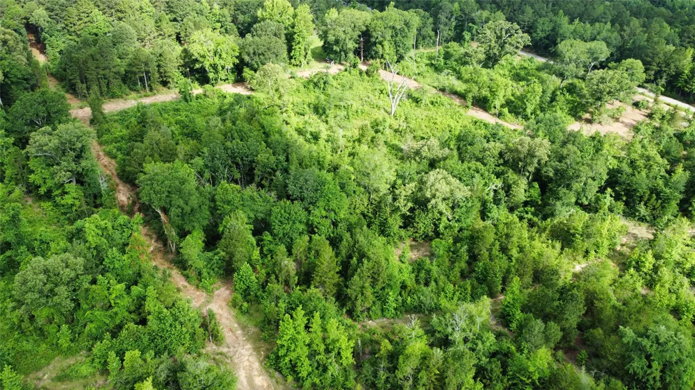 County Road 385 Tyler, TX 75708