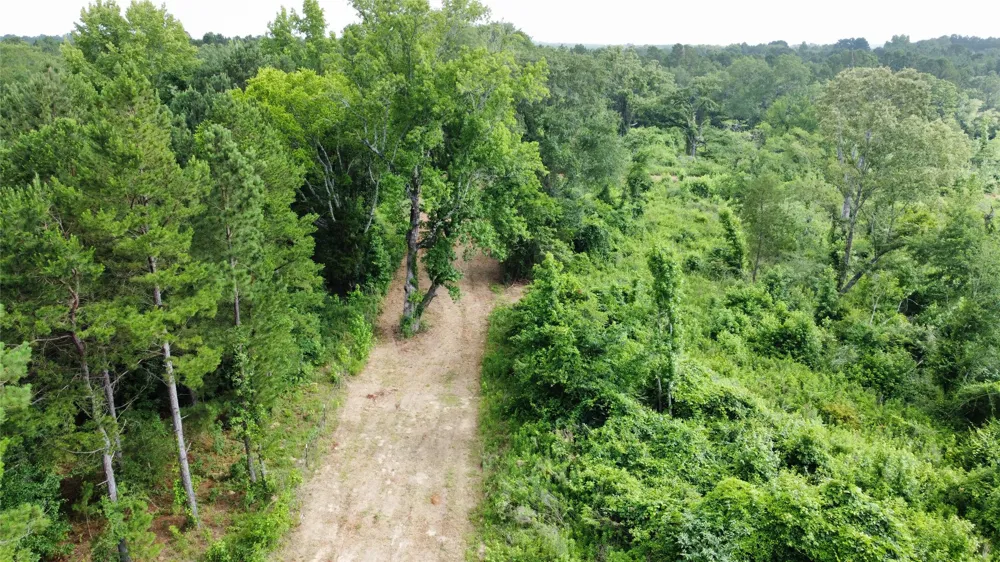 County Road 385 Tyler, TX 75708