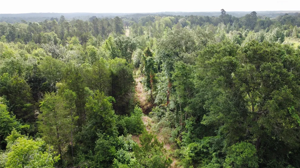 County Road 385 Tyler, TX 75708