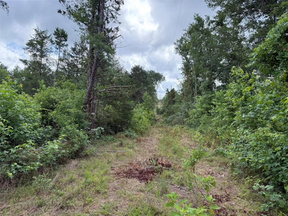 County Road 385 Tyler, TX 75708