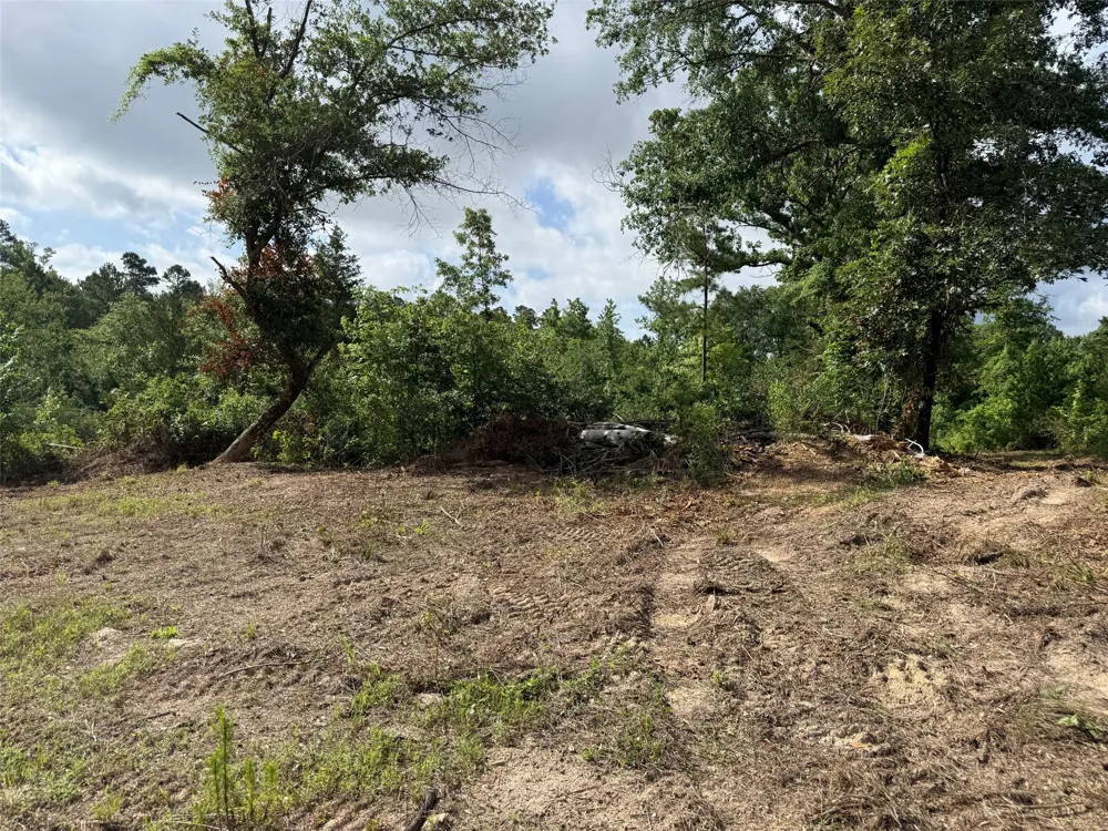County Road 385 Tyler, TX 75708