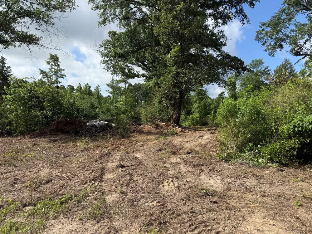 County Road 385 Tyler, TX 75708