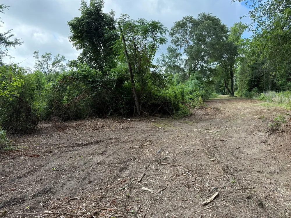 County Road 385 Tyler, TX 75708