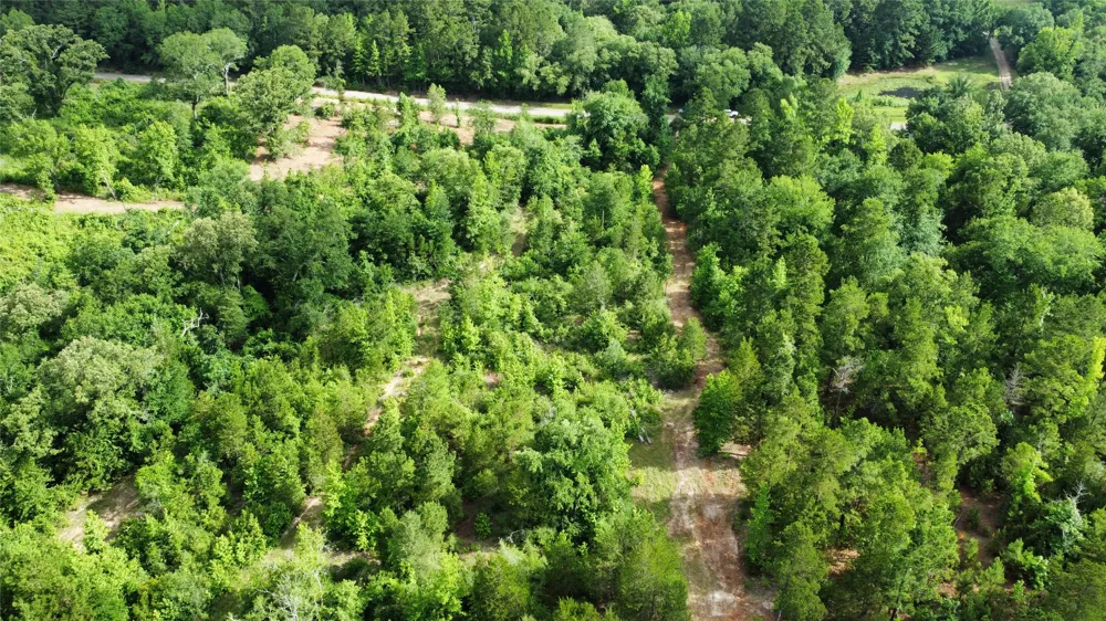 County Road 385 Tyler, TX 75708