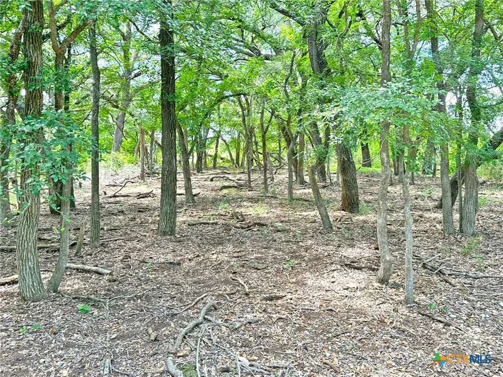 1231 Pitchfork Ranch Road Copperas Cove, TX 76522