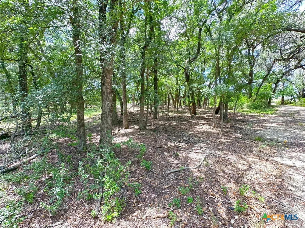 1231 Pitchfork Ranch Road Copperas Cove, TX 76522