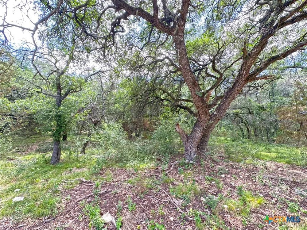 1231 Pitchfork Ranch Road Copperas Cove, TX 76522