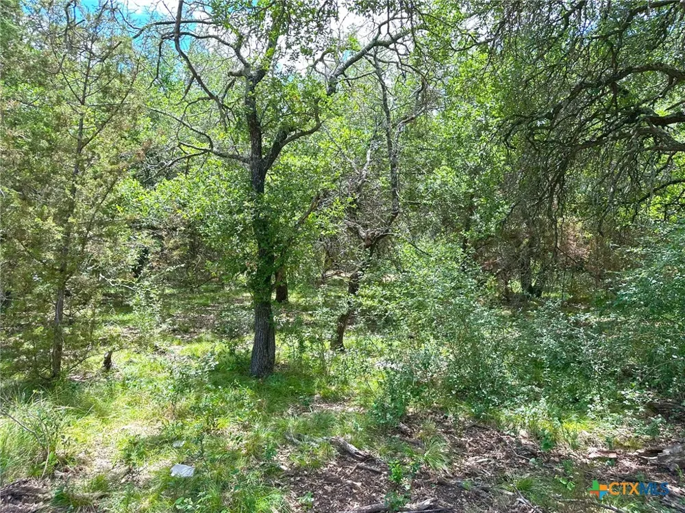 1231 Pitchfork Ranch Road Copperas Cove, TX 76522