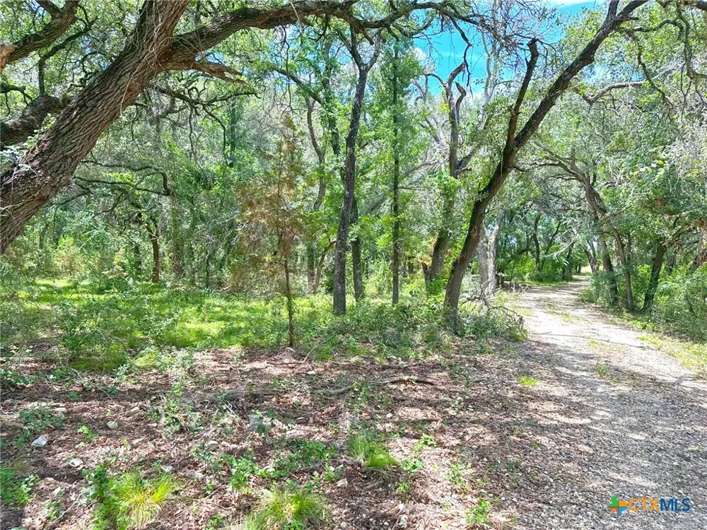 1231 Pitchfork Ranch Road Copperas Cove, TX 76522