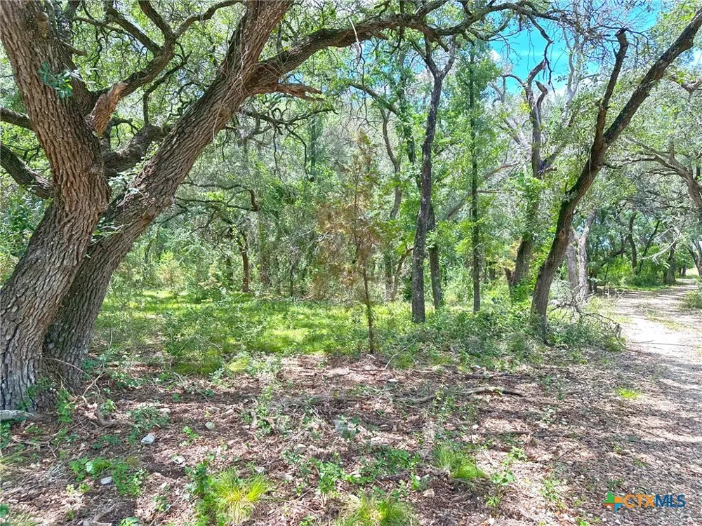 1231 Pitchfork Ranch Road Copperas Cove, TX 76522