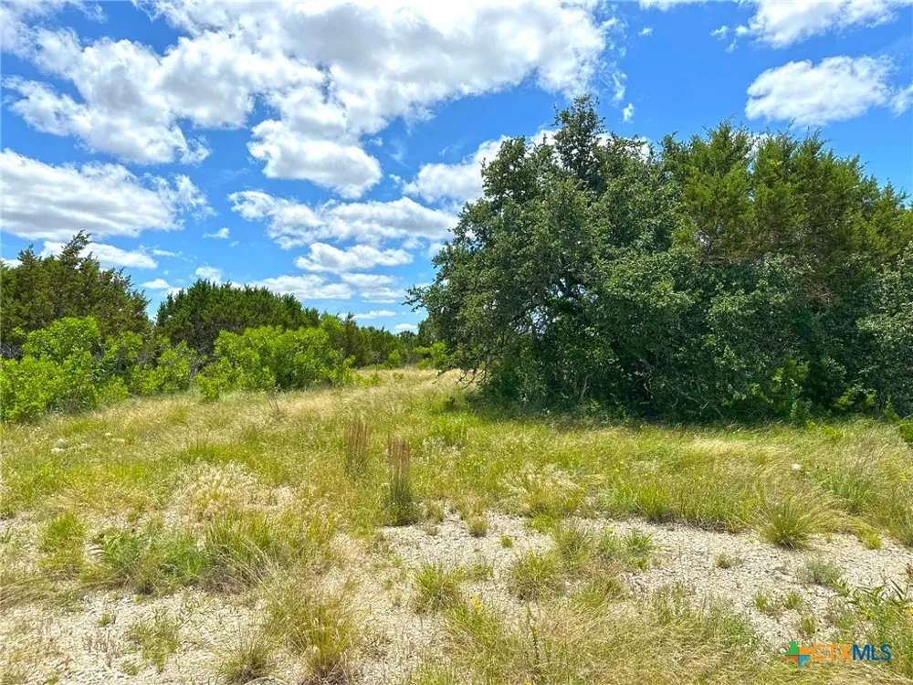 1231 Pitchfork Ranch Road Copperas Cove, TX 76522