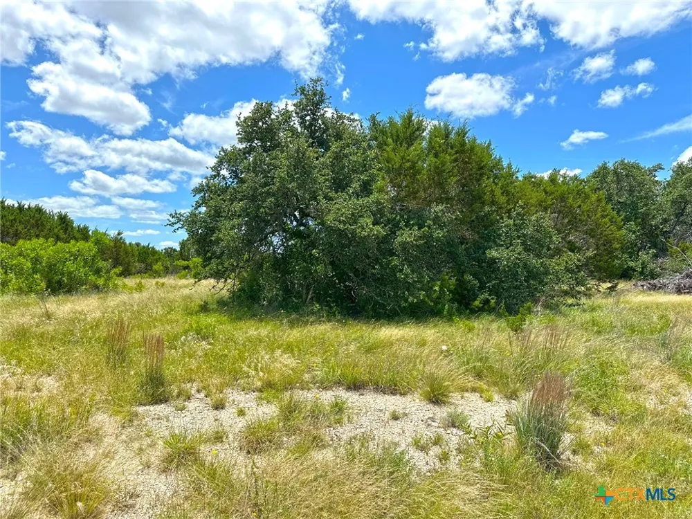 1231 Pitchfork Ranch Road Copperas Cove, TX 76522