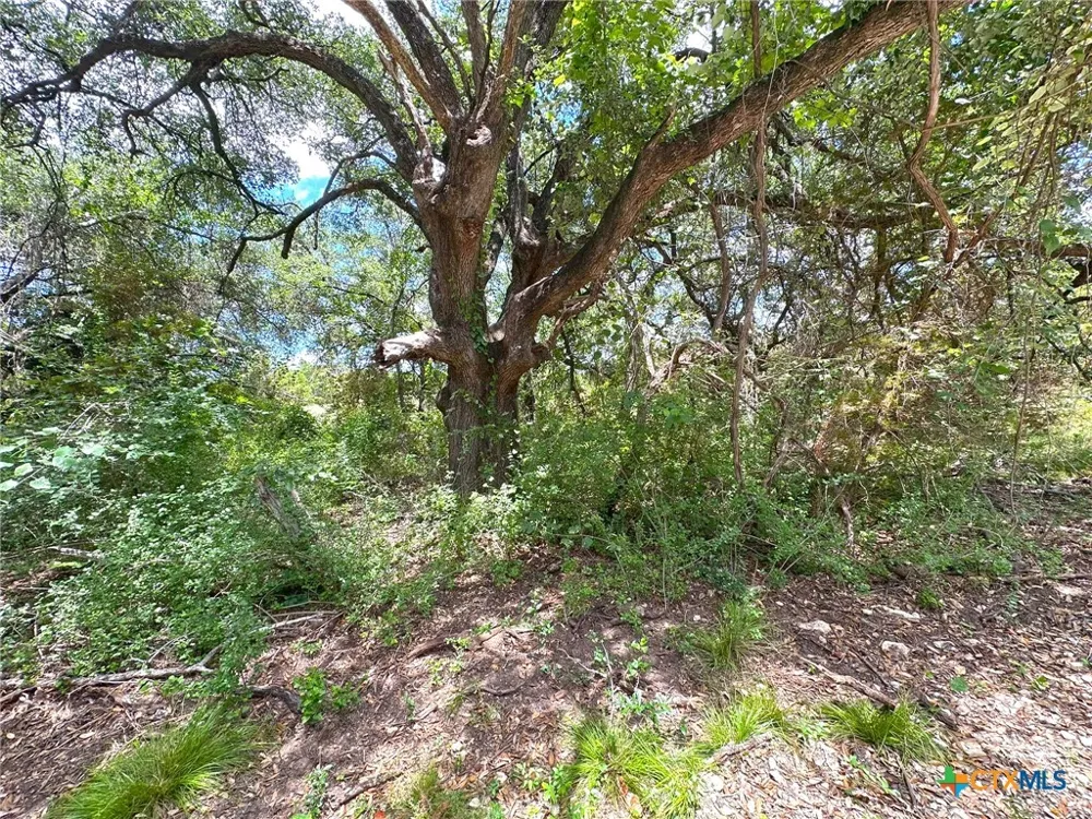 1231 Pitchfork Ranch Road Copperas Cove, TX 76522
