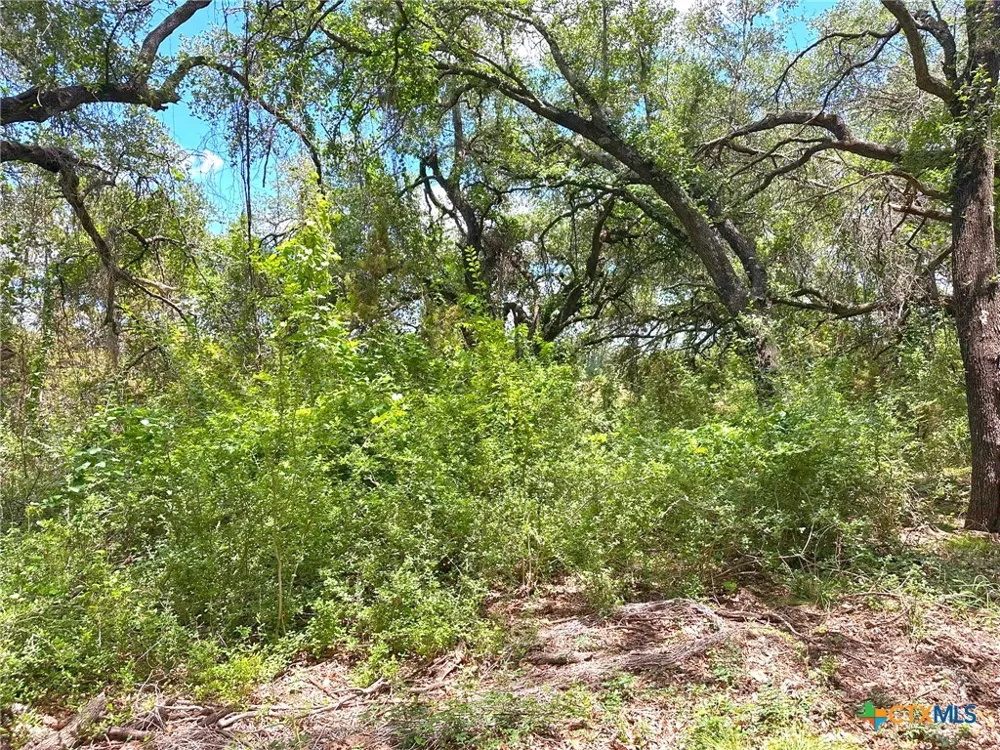 1231 Pitchfork Ranch Road Copperas Cove, TX 76522
