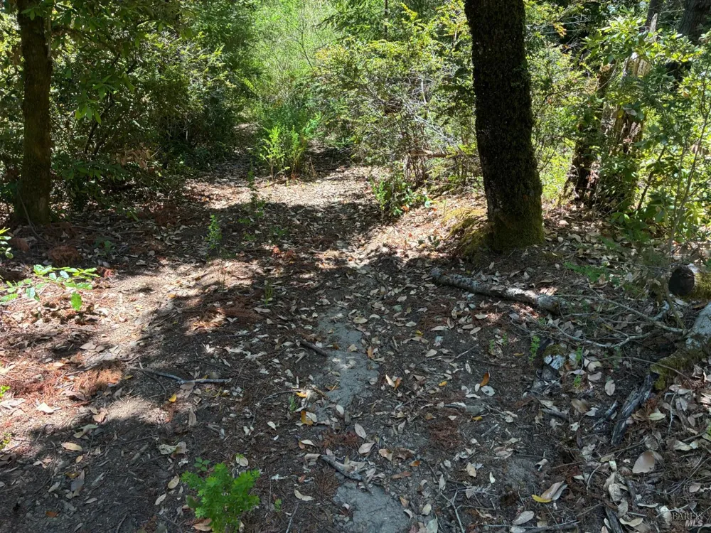30 Sunrise Mountain Cazadero, CA 95421