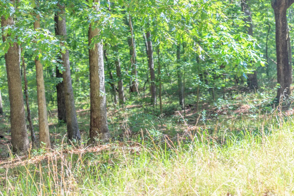 Hidden Brow Road Menlo, GA 30731