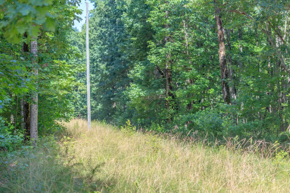 Hidden Brow Road Menlo, GA 30731