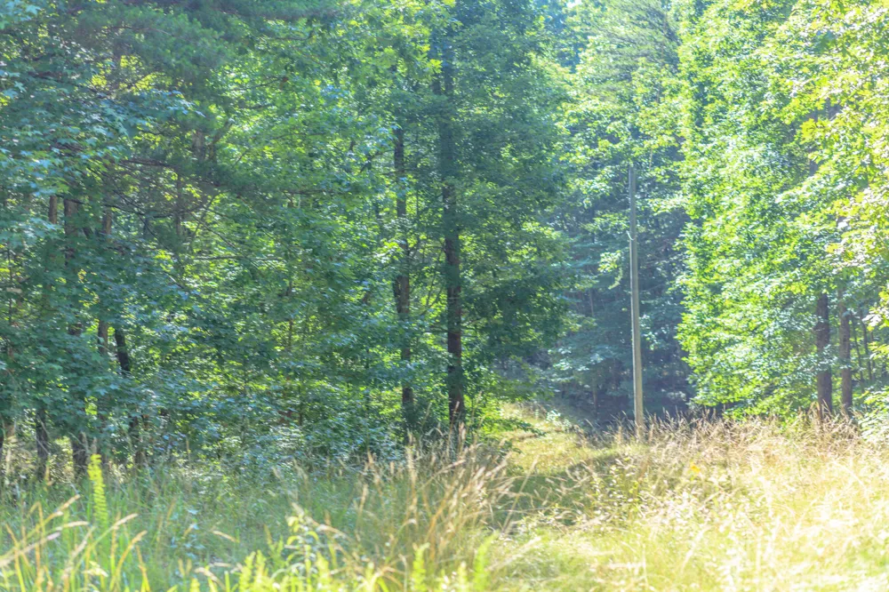 Hidden Brow Road Menlo, GA 30731