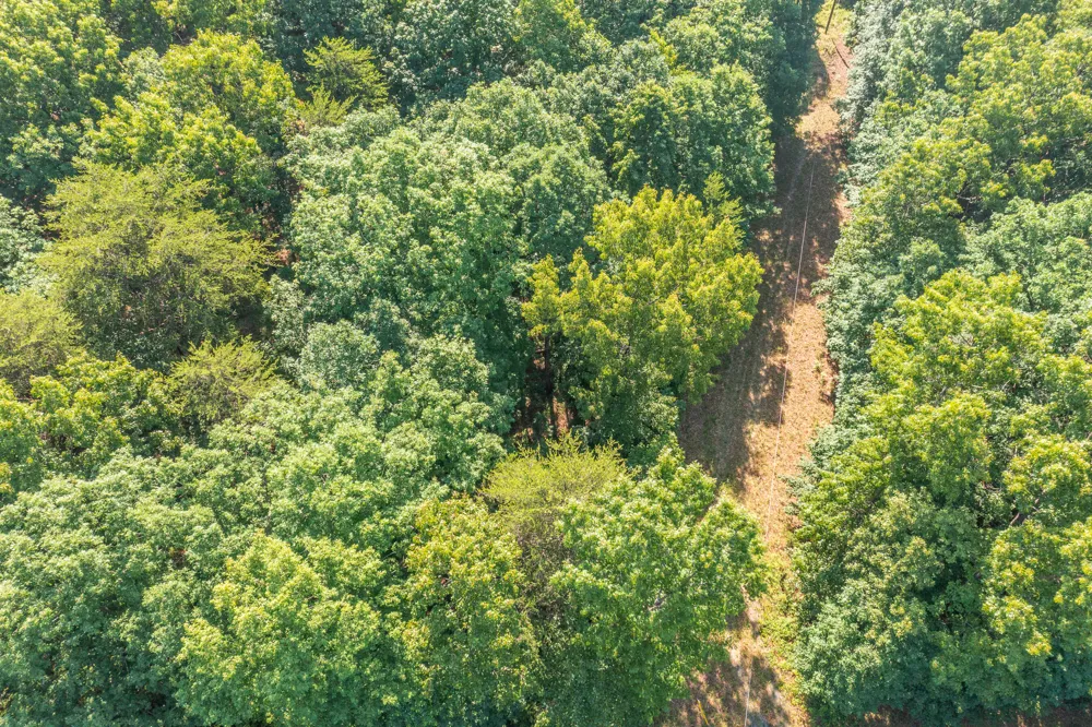 Hidden Brow Road Menlo, GA 30731