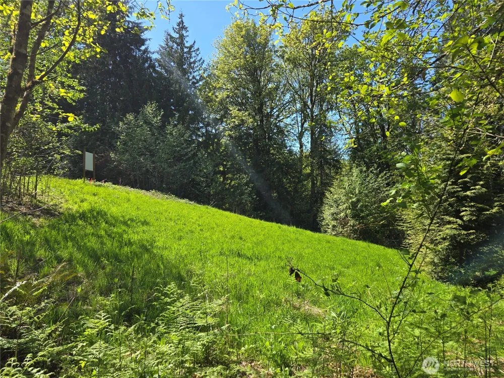286 XX NE 156th Street Duvall, WA 98019