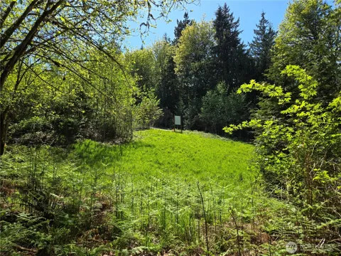 286 XX NE 156th Street