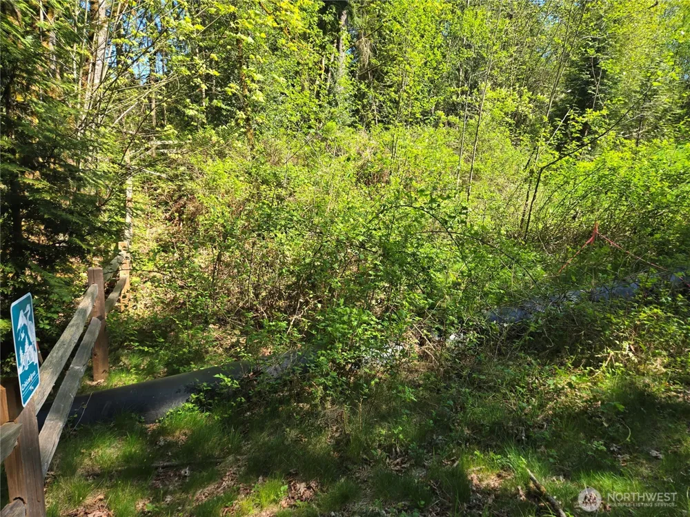 286 XX NE 156th Street Duvall, WA 98019