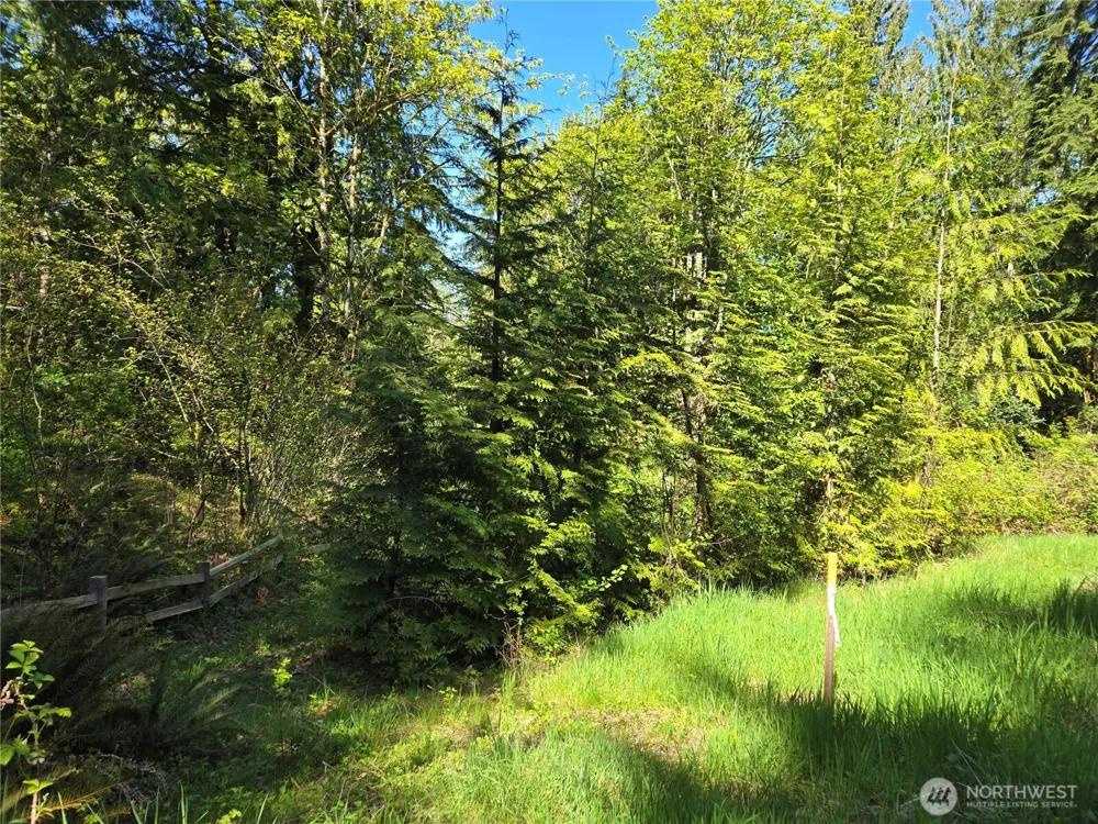 286 XX NE 156th Street Duvall, WA 98019