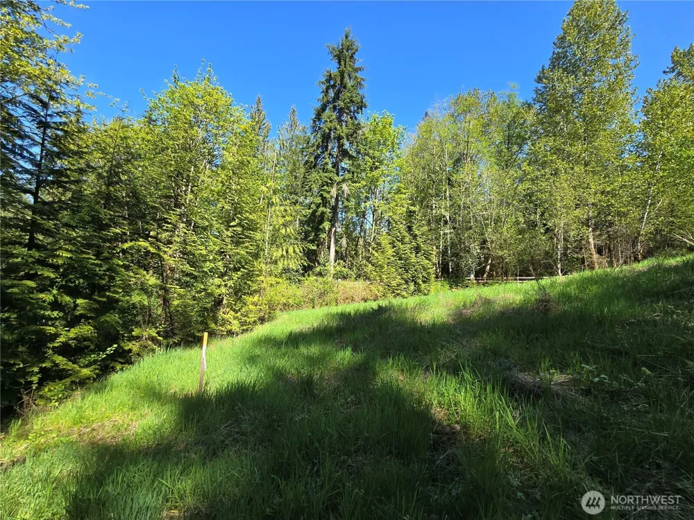 286 XX NE 156th Street Duvall, WA 98019
