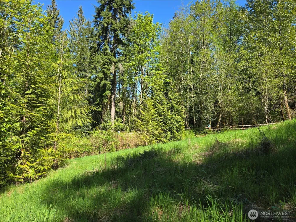 286 XX NE 156th Street Duvall, WA 98019