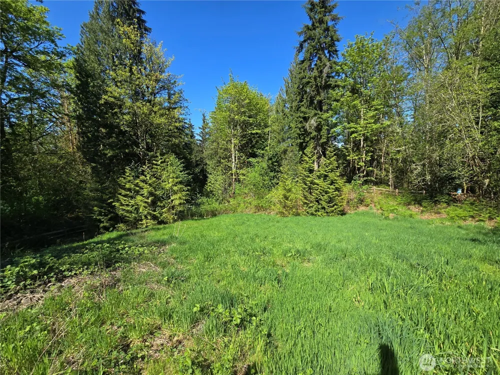 286 XX NE 156th Street Duvall, WA 98019