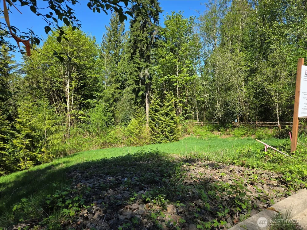 286 XX NE 156th Street Duvall, WA 98019