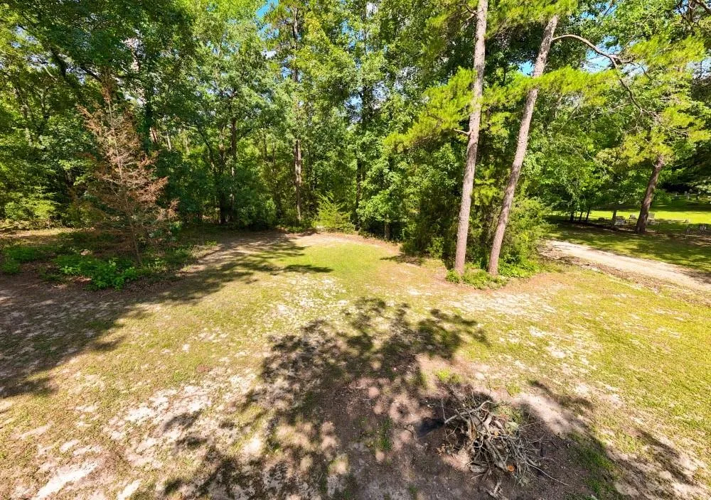 County Road 3145 Colmesneil, TX 75938
