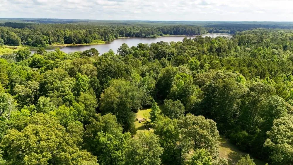 County Road 3145 Colmesneil, TX 75938