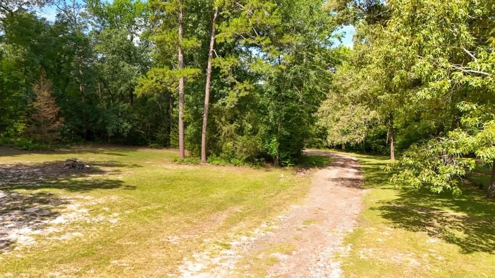 County Road 3145 Colmesneil, TX 75938