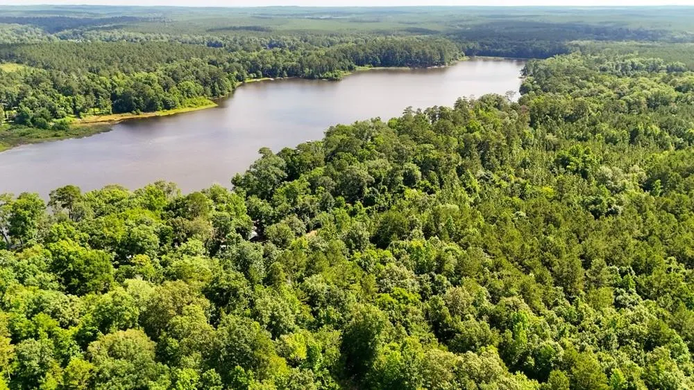 County Road 3145 Colmesneil, TX 75938