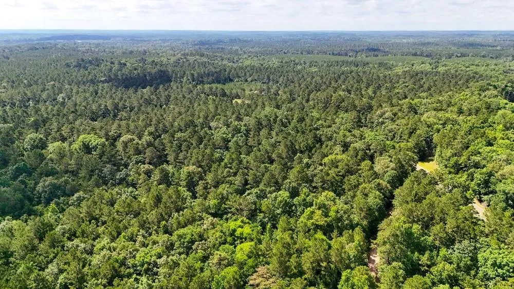County Road 3145 Colmesneil, TX 75938