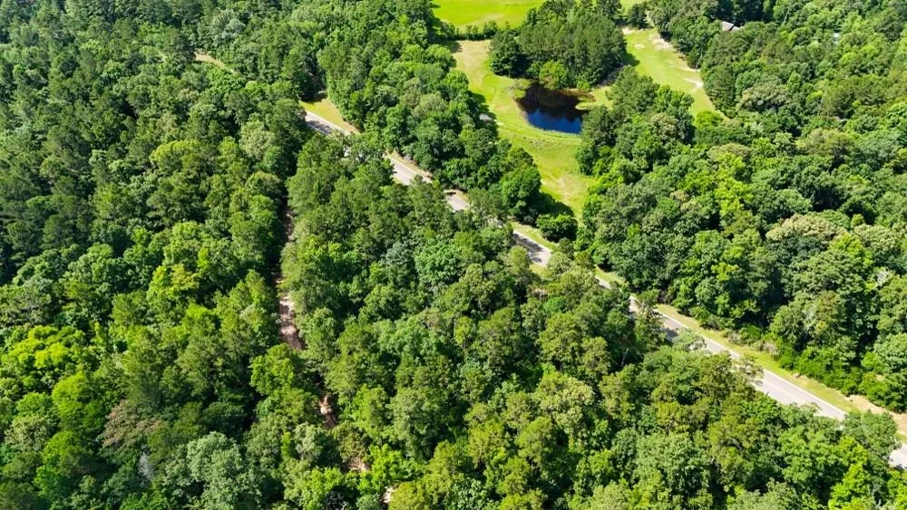 County Road 3145 Colmesneil, TX 75938
