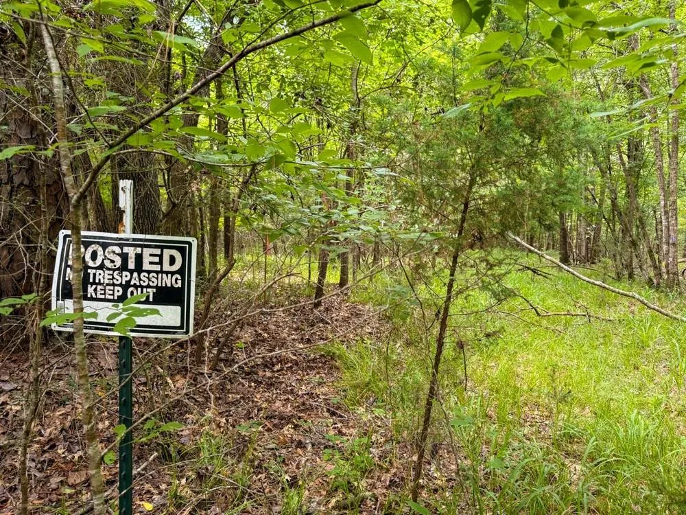 County Road 3145 Colmesneil, TX 75938