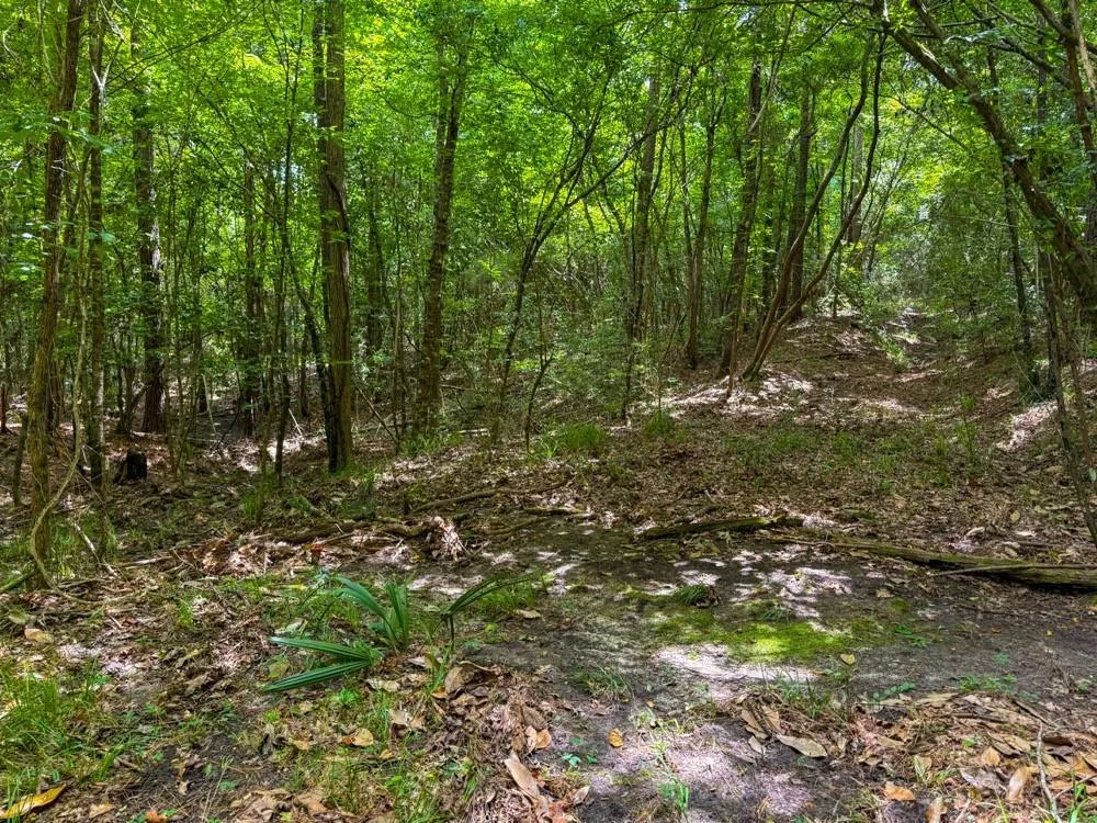 County Road 3145 Colmesneil, TX 75938