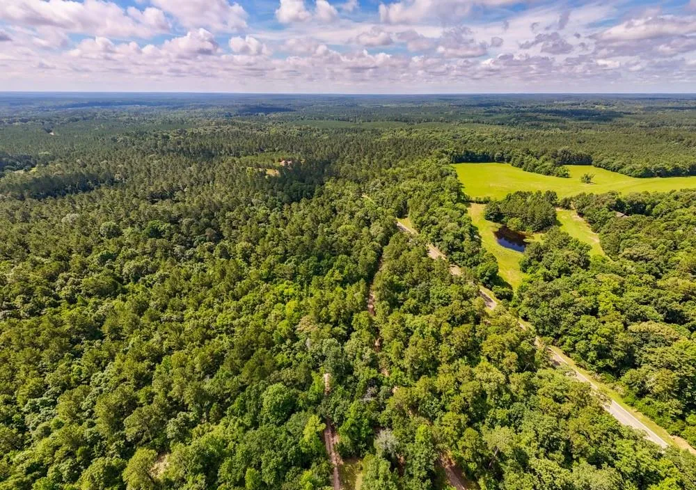 County Road 3145 Colmesneil, TX 75938