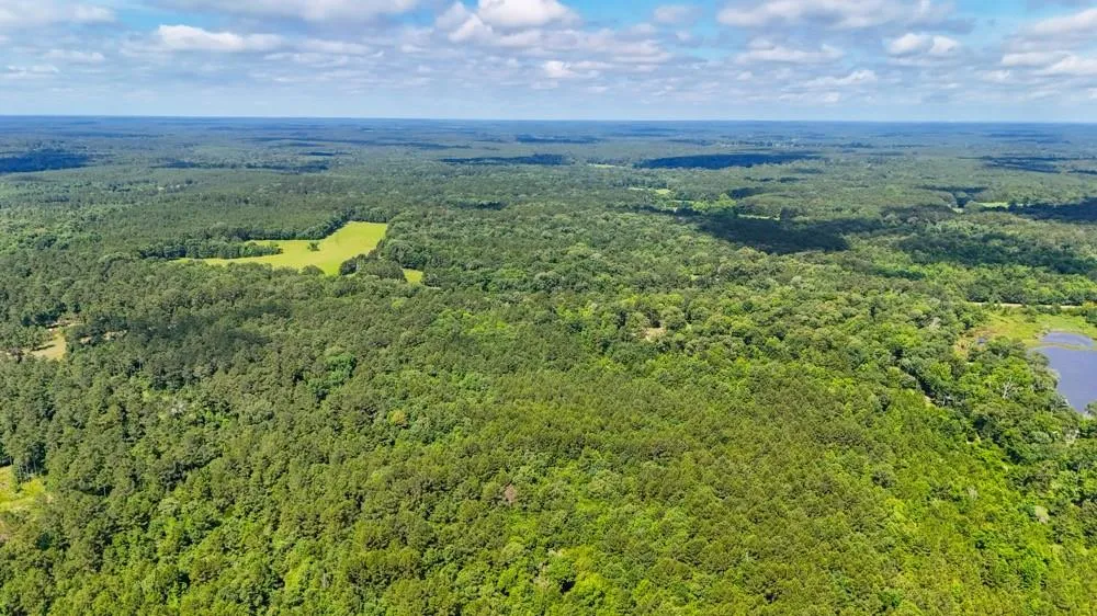 County Road 3145 Colmesneil, TX 75938