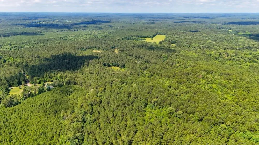 County Road 3145 Colmesneil, TX 75938