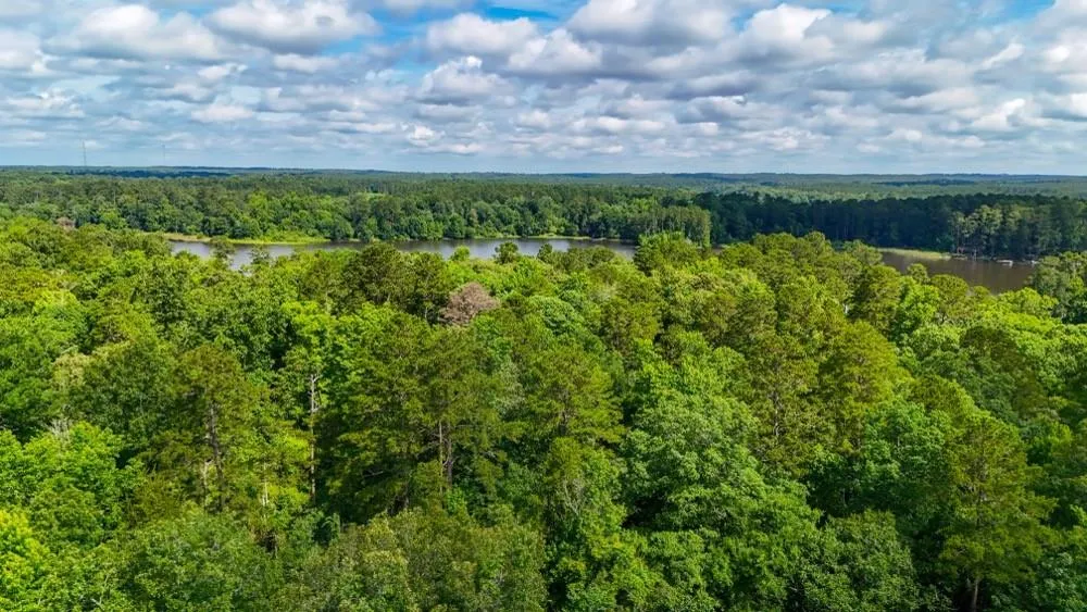 County Road 3145 Colmesneil, TX 75938