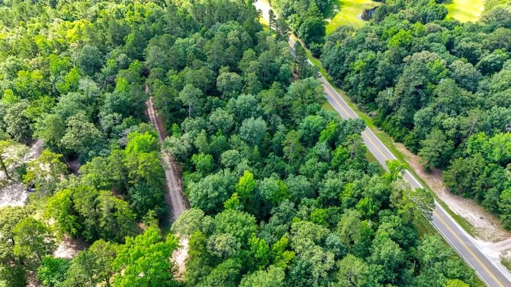 County Road 3145 Colmesneil, TX 75938